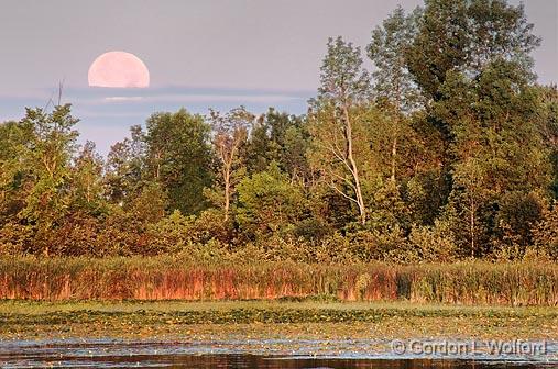 Moonset Over Irish Creek_19393-4.jpg - Photographed mear Smiths Falls, Ontario, Canada.